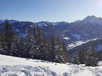 2020-01-21 09.51.45  IICSA���II